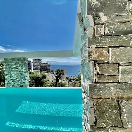 New With Infinite Pool Monaco *